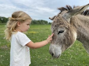 Zasavica_Svetskiputnik.rs01