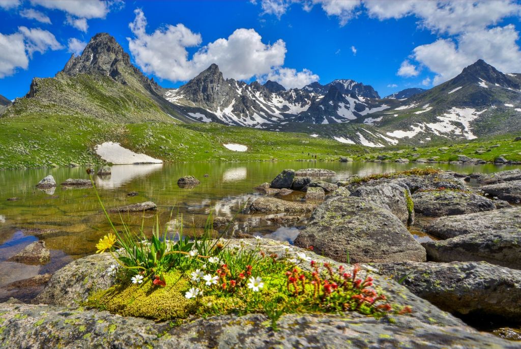 Rize Kačkar Planina